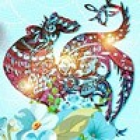 请上传图片