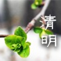 请上传图片