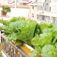请上传图片